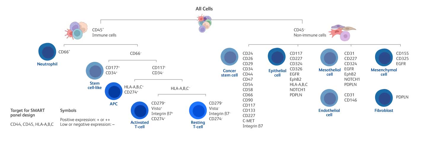 Tumor Cell Population and Activation Status