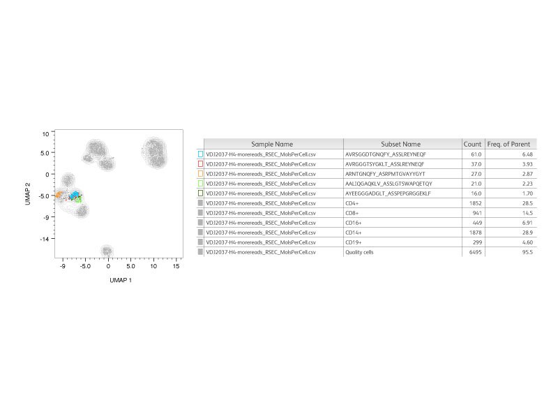 Clonotype Identification on UMAP Plot within Phenograph Clusters