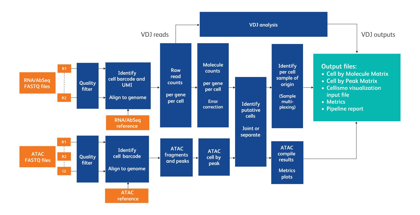 BD Rhapsody Pipeline Workflow