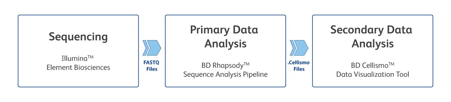 Data Visualization Comparison Diagram