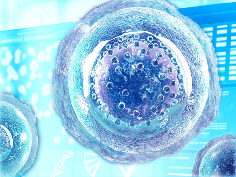 CAR-T and Cell Therapy Research